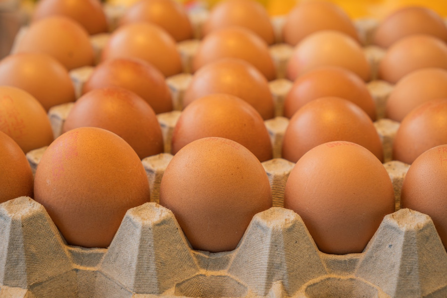 Farm fresh eggs in carton